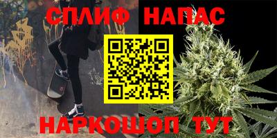 дживик Тара