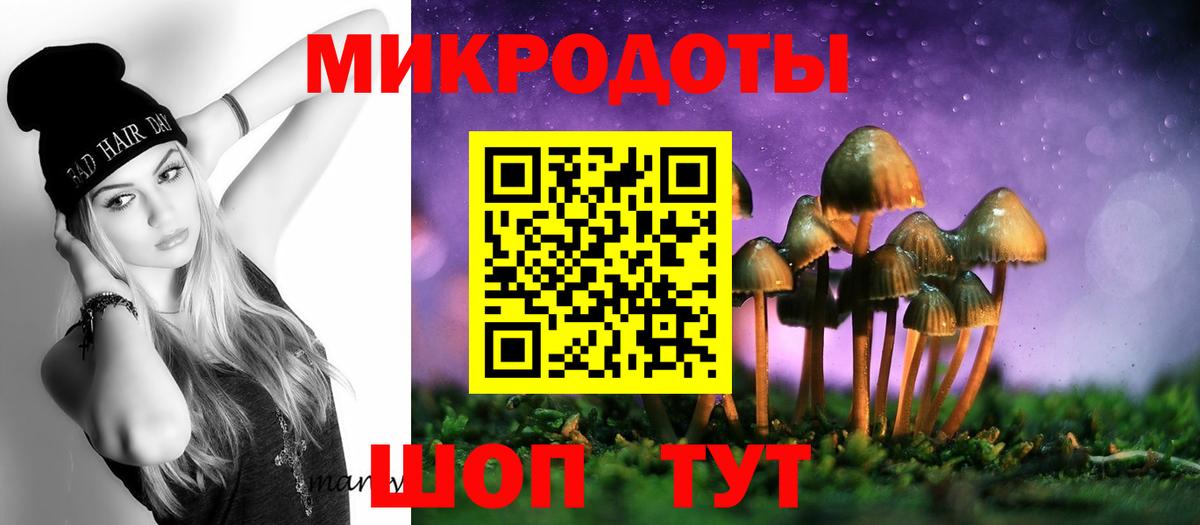 Галлюциногенные грибы Psilocybe Гусев